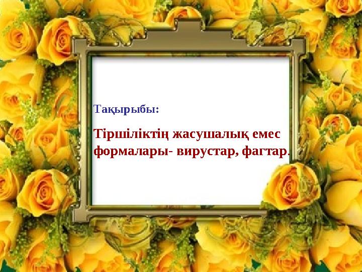 Сұлулықты бұзатын порно