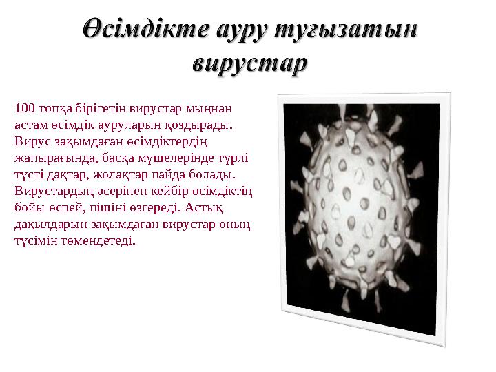 100 топқа бірігетін вирустар мыңнан астам өсімдік ауруларын қоздырады. Вирус зақымдаған өсімдіктердің жапырағында, басқа мүше