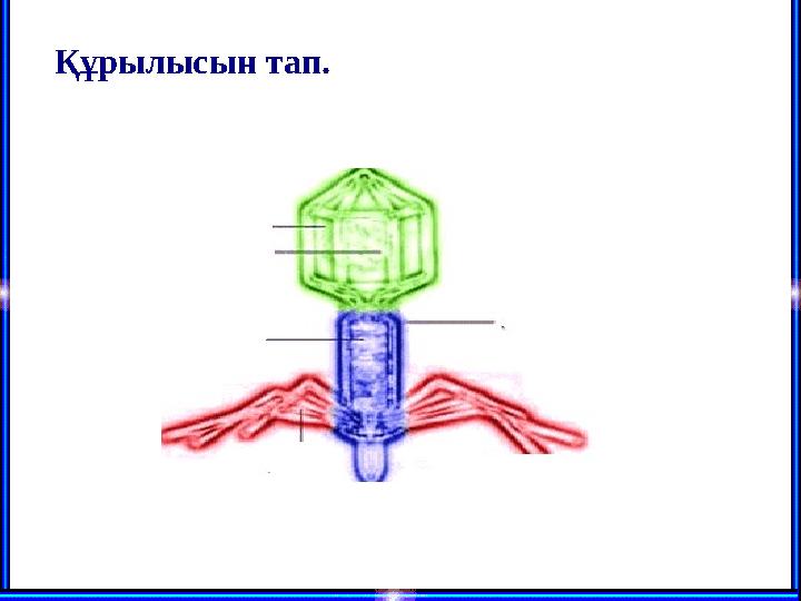 Құрылысын тап.