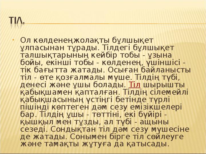• Ол көлденеңжолақты бұлшықет ұлпасынан тұрады. Тілдегі бұлшықет талшықтарының кейбір тобы - ұзына бойы, екінші тобы - көлден
