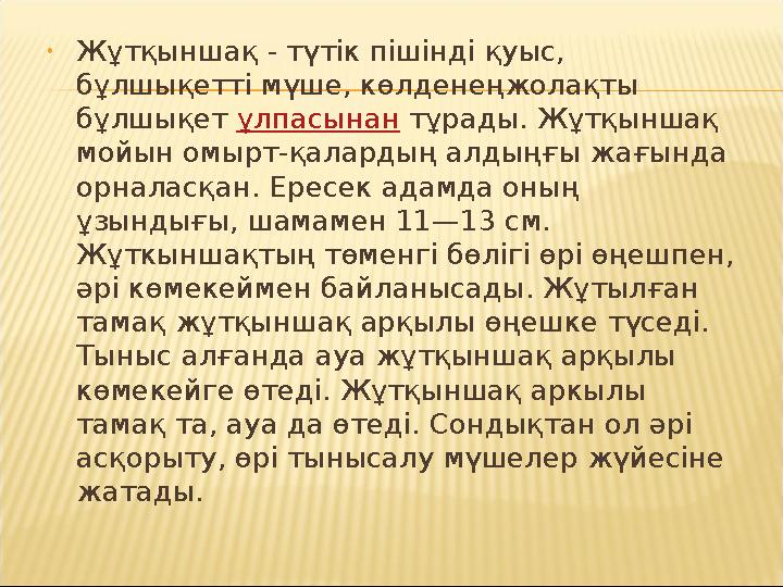 • Жұтқыншақ - түтік пішінді қуыс, бұлшықетті мүше, көлденеңжолақты бұлшықет ұлпасынан тұрады. Жұтқыншақ мойын омырт-қаларды