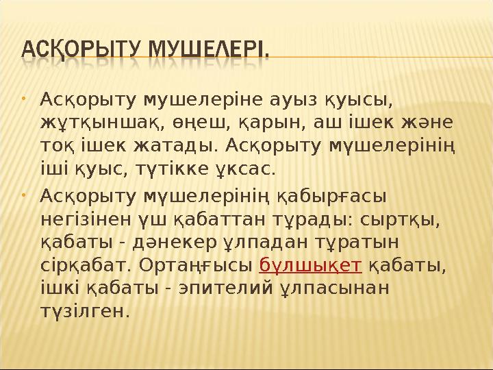 • Асқорыту мушелеріне ауыз қуысы, жұтқыншақ, өңеш, қарын, аш ішек және тоқ ішек жатады. Асқорыту мүшелерінің іші қуыс, түтікк