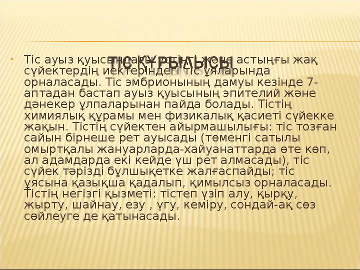 • Тіс ауыз қуысындағы үстіңгі және астыңғы жақ сүйектердің иектеріндегі тіс ұяларында орналасады. Тіс эмбрионының дамуы кезінд