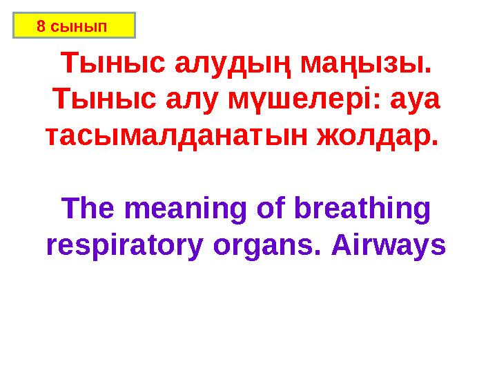 Тыныс алудың маңызы. Тыныс алу мүшелері: ауа тасымалданатын жолдар. The meaning of breathing respiratory organs. Airways8 сы