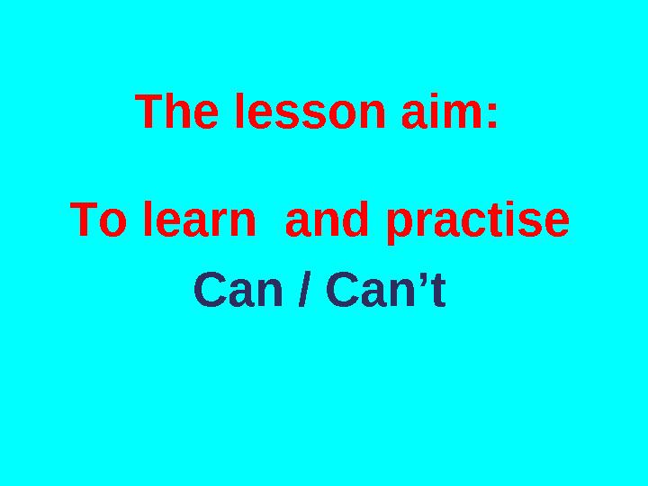 The lesson aim: To learn and practise Can / Can’t