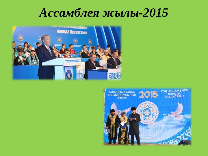 Ассамблея жылы-2015