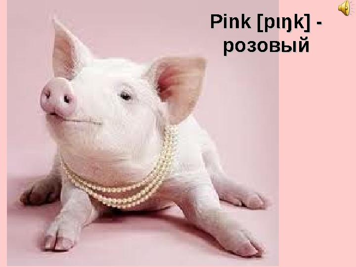 Pink Pink [p[p ιι ŋk] - ŋk] - розовыйрозовый