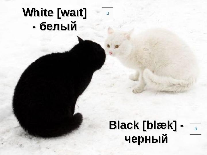 White White [wa[wa ιι t] t] - - белыйбелый Black [blæk] - Black [blæk] - черныйчерный