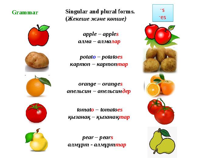 Singular and plural forms. ( Жекеше және көпше) apple – apple s алма – алма лар pear – pear s алмұрт - алмұрт тар oran