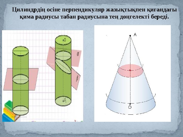 Цилиндрдің осіне перпендикуляр жазықтықпен қиғандағы қима радиусы табан радиусына тең дөңгелекті береді.