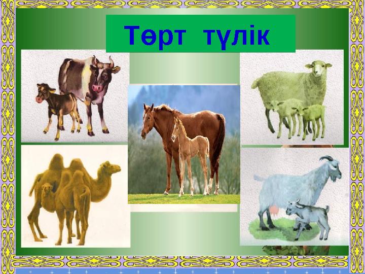 Төрт түлік Төрт түлік
