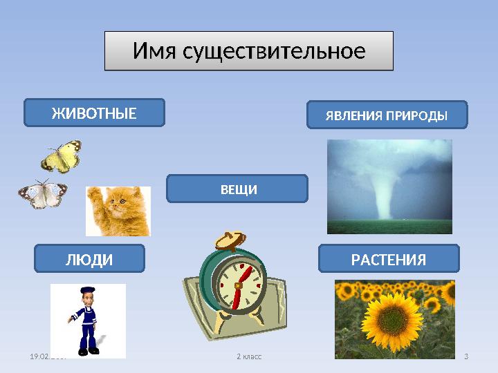 19.02.2009 2 класс 3Имя существительноеИмя существительное ЖИВОТНЫЕ ЯВЛЕНИЯ ПРИРОДЫ ВЕЩИ ЛЮДИ РАСТЕНИЯИмя существительноеИмя с