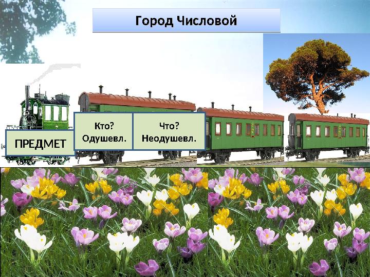 19.02.2009 82 классИмя существительноеПРЕДМЕТ Кто? Одушевл. Что? Неодушевл.Город ЧисловойГород ЧисловойГород ЧисловойГород Числ