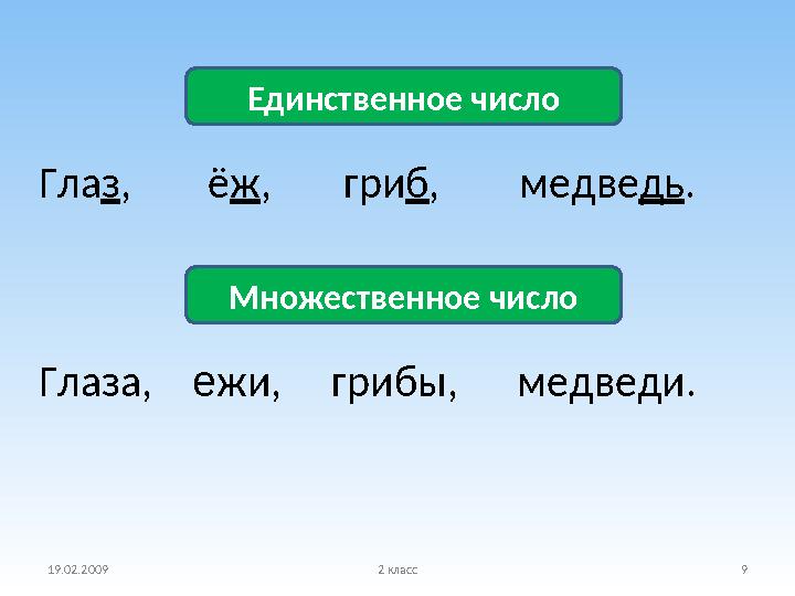 19.02.2009 2 класс 9Гла з , ё ж , гри б , медве дь . Глаза, е жи, грибы, медведи. Единстве