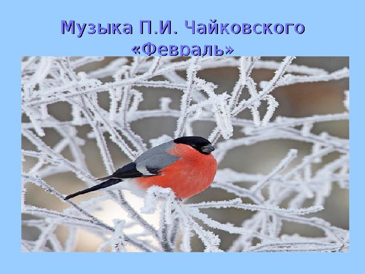 Музыка П.И. Чайковского Музыка П.И. Чайковского «Февраль»«Февраль»