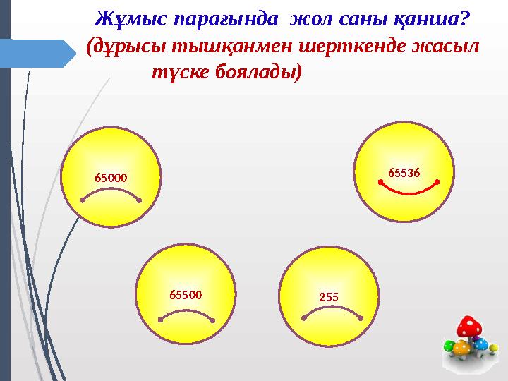 Жұмыс парағында жол саны қанша? (дұрысы тышқанмен шерткенде жасыл түске боя
