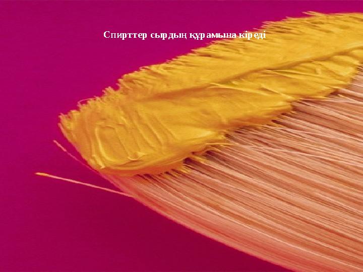 Спирттер сырдың құрамына кіреді
