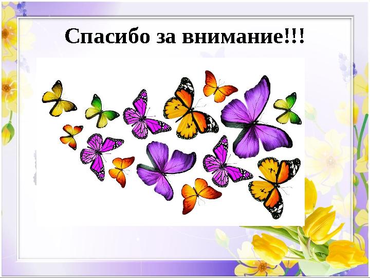 Спасибо за внимание!!!