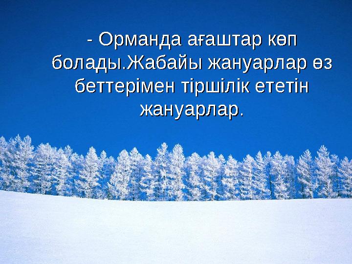 - Орманда ағаштар көп - Орманда ағаштар көп болады.Жабайы жануарлар өз болады.Жабайы жануарлар өз беттерімен тіршілік ететі
