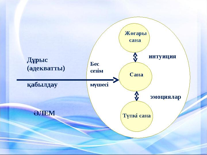 ерхсозн Жоғары сана Түпкі сана Сана интуиция эмоцияларДұрыс (адекватты) қабылдау Бес сезім мүшесі ӘЛЕМ