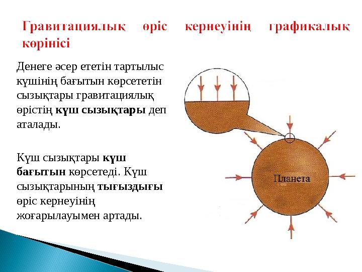 Денеге әсер ететін тартылыс күшінің бағытын көрсететін сызықтары гравитациялық өрістің күш сызықтары деп аталады. Күш сызы