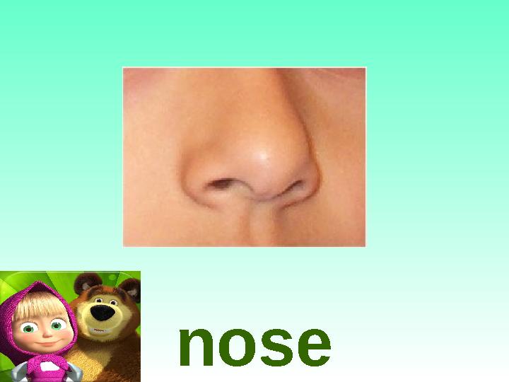 nose