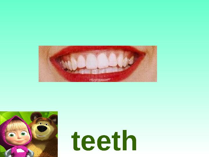 teeth