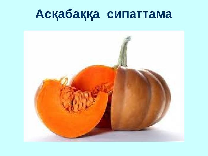 Асқабаққа сипаттама