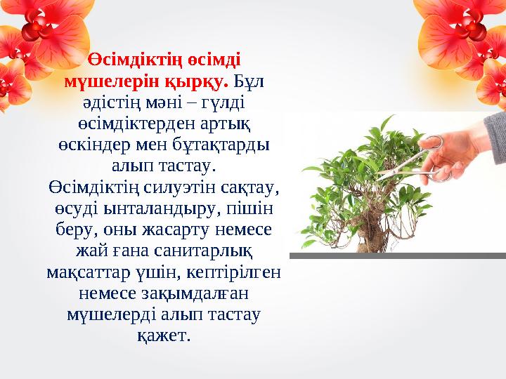 Өсімдіктің өсімді мүшелерін қырқу. Бұл әдістің мәні – гүлді өсімдіктерден артық өскіндер мен бұтақтарды алып тастау. Өсімд