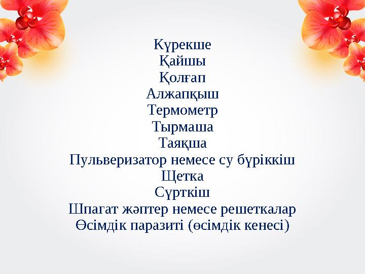 Күрекше Қайшы Қолғап Алжапқыш Термометр Тырмаша Таяқша Пульверизатор немесе су бүріккіш Щетка Сүрткіш Шпагат жәптер немесе решет