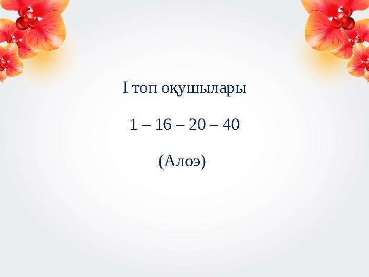 І топ оқушылары 1 – 16 – 20 – 40 (Алоэ)