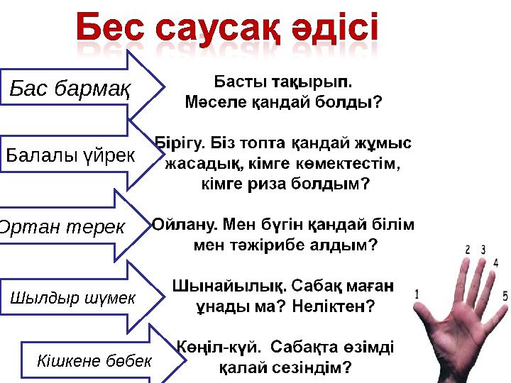 Бас бармақ Балалы үйрек Ортан терек Шылдыр шүмек Кішкене бөбек