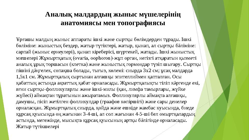 Аналық малдардың жыныс мүшелерінің анатомиясы мен топографиясы Ұрғашы малдың жыныс аппараты ішкі және сыртқы бөлімдерден тұрады