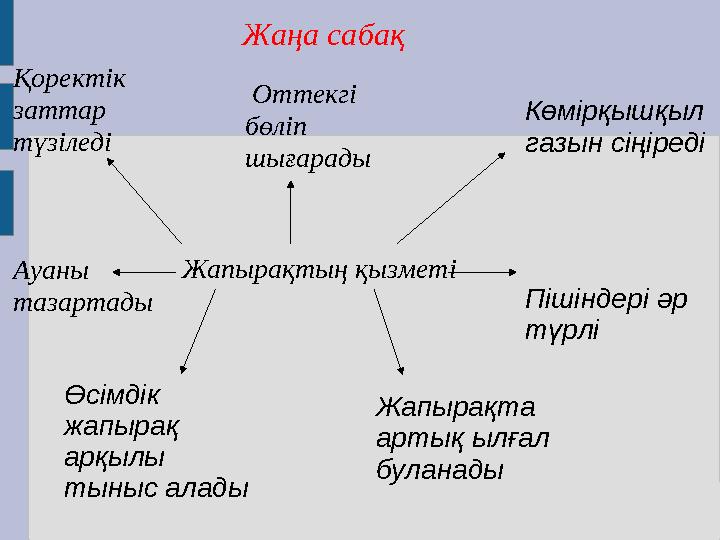 Жапырақтың қызметі Жапырақта артық ылғал буланадыӨсімдік