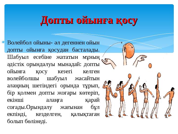 Жетілген әйелдердегі клиторды тексеру