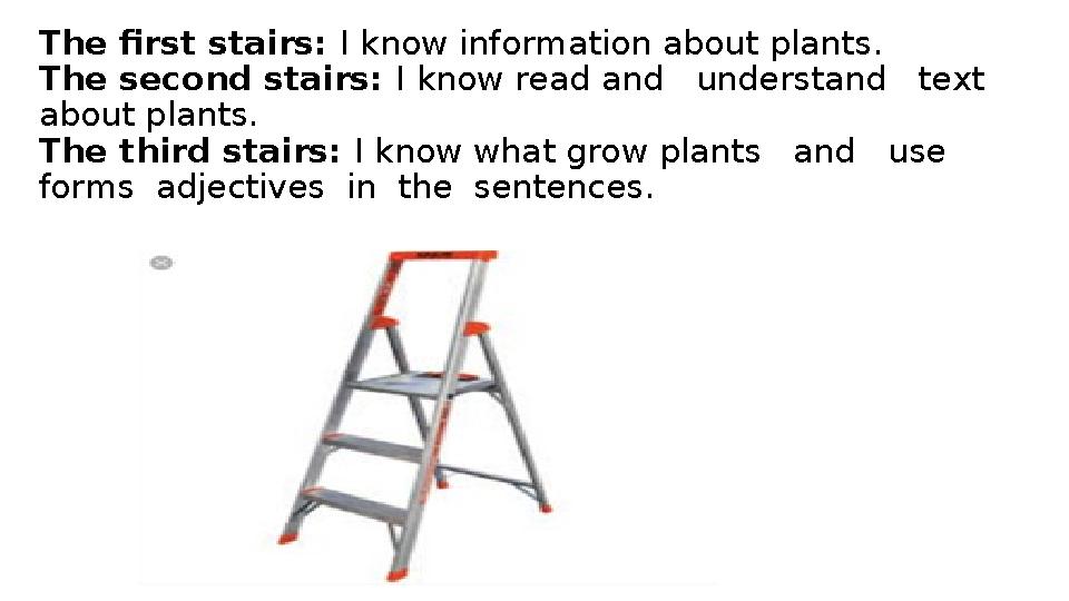 The first stairs: I know information about plants. The second stairs: I know read and understand text about plants. The t