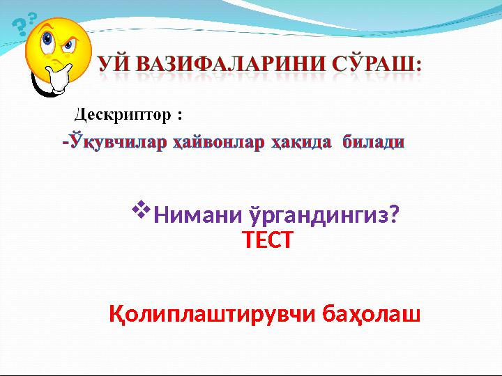  Нимани ўргандингиз? ТЕСТ Қолиплаштирувчи баҳолаш