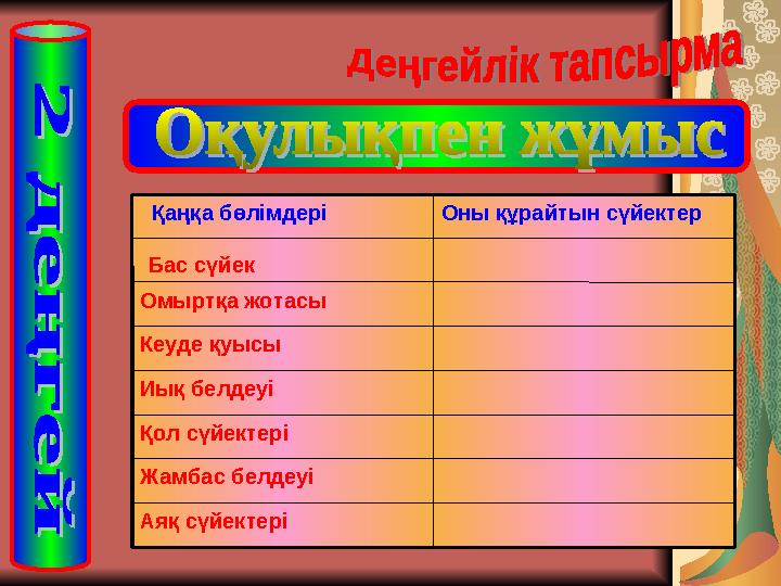 Аяқ сүйектеріЖамбас белдеуіҚол сүйектеріИық белдеуіКеуде қуысыОмыртқа жотасы Бас сүйек Оны құрайтын сүйектер Қаңқа бөлімдері