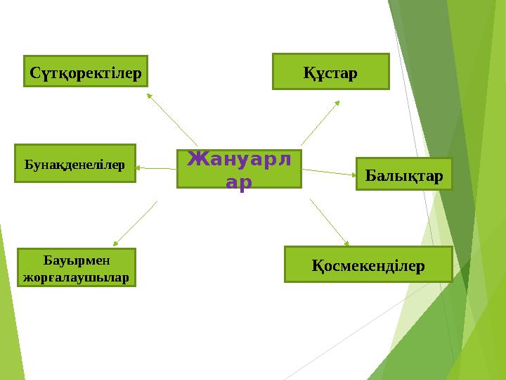 Жануарл ар Құстар Сүтқоректілер Бауырмен жорғалаушылар ҚосмекенділерБунақденелілер Балықтар