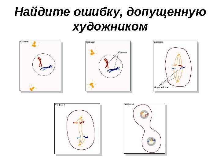 Найдите ошибку, допущенную художником