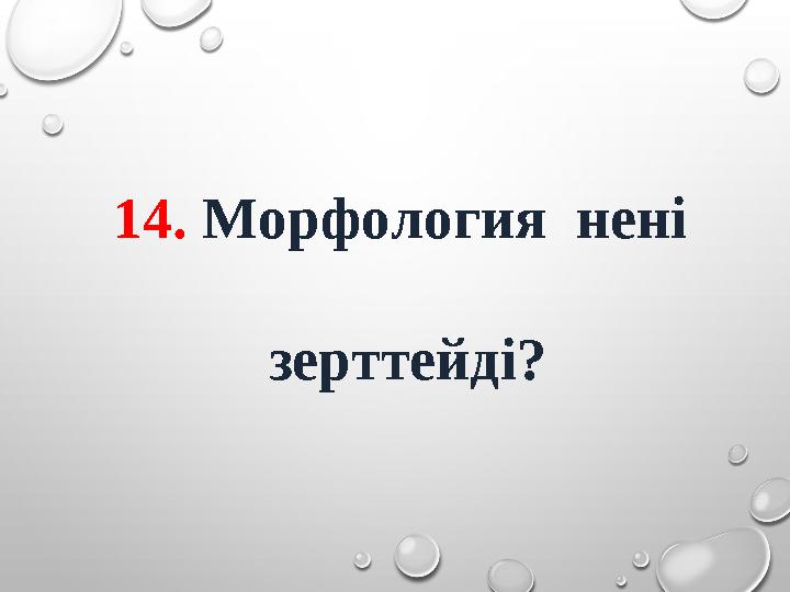 14. Морфология нені зерттейді?