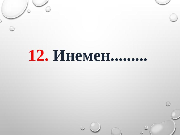 12. Инемен.........