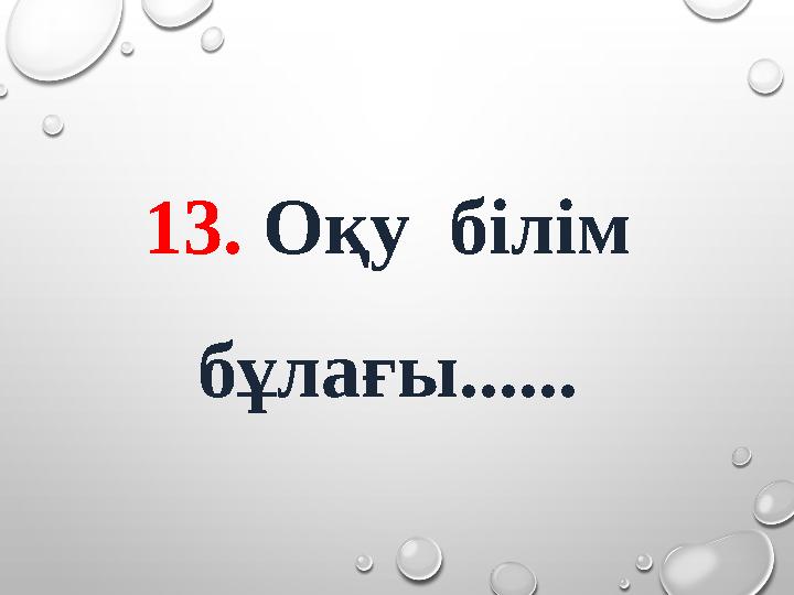 13. Оқу білім бұлағы......