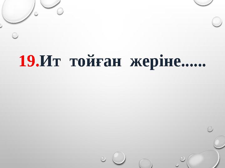 19. Ит тойған жеріне......