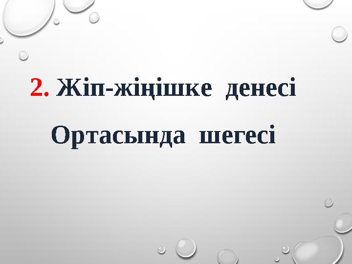 2. Жіп-жіңішке денесі Ортасында шегесі
