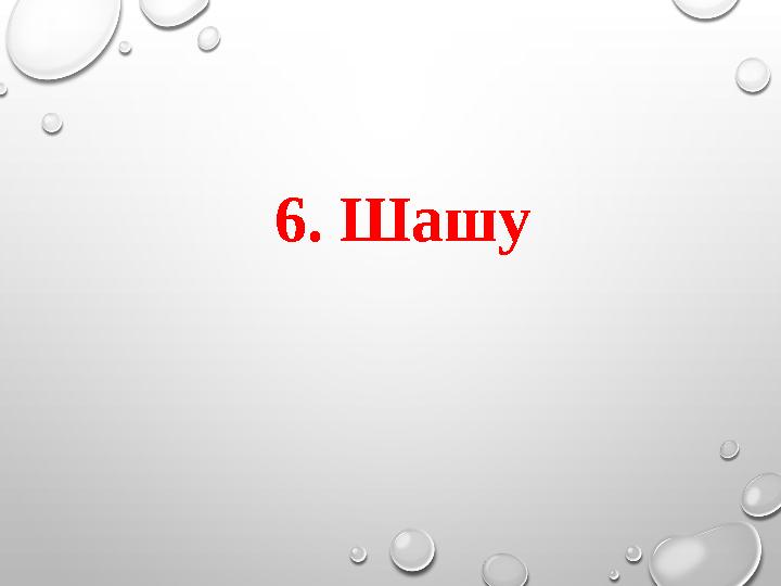 6. Шашу