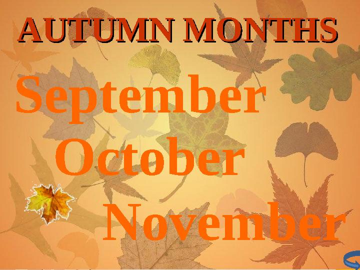 September October NovemberAUTUMN MONTHSAUTUMN MONTHS