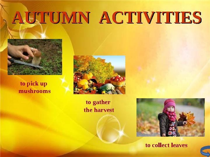 to pick up mushrooms to gather the harvest to collect leavesAUTUMN ACTIVITIESAUTUMN ACTIVITIES