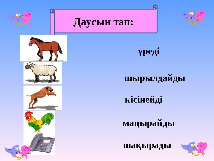 Даусын тап: үреді шырылдайды кісінейді маңырайды шақырады