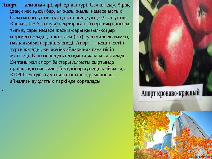 Апорт — алманың ірі, әрі құнды түрі. Салқындау, бірақ ұзақ емес қысы бар, ал жазы жылы немесе ыстық болатын оңтүстіктіктің ор